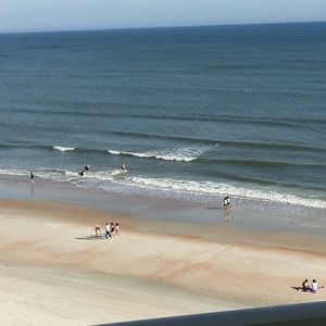 Meet your Posher, Fanny